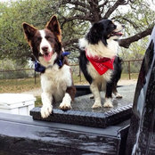 Amy Perkins Pinkerton's photo