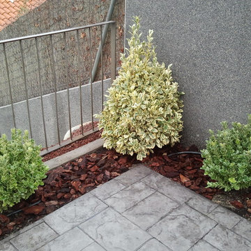 Chalet en Olias de Rey