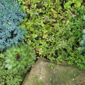 Rosebrook Garden 2017 Garden Tour