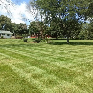 Full Service Lawn care