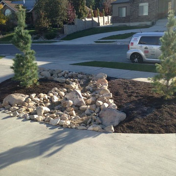 Recent Project