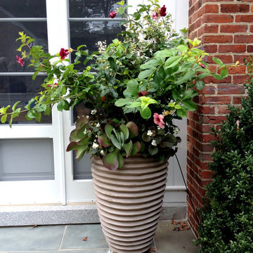 Container Planting Designs
