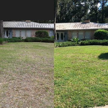 Lawn Health Program Results