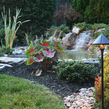 Border Design
