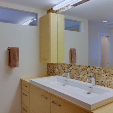 Vienna Bathroom Projects