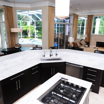 Avila - Transitional - Contemporary Kitchen Upgrade
