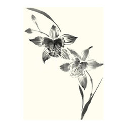 "Studies In Ink - Cymbidium" by: Nan Rae - Fine Art Prints