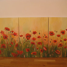 Field of poppies