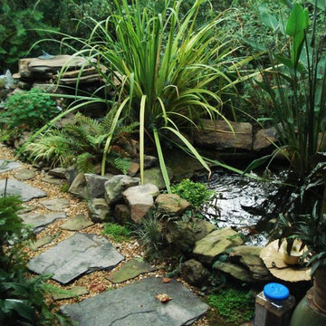 Landscape Design Projects