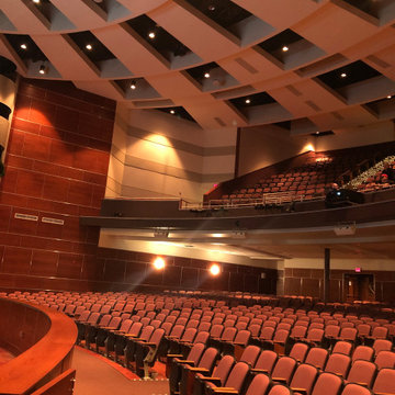 Auditorium Revised to Professional Status 4K