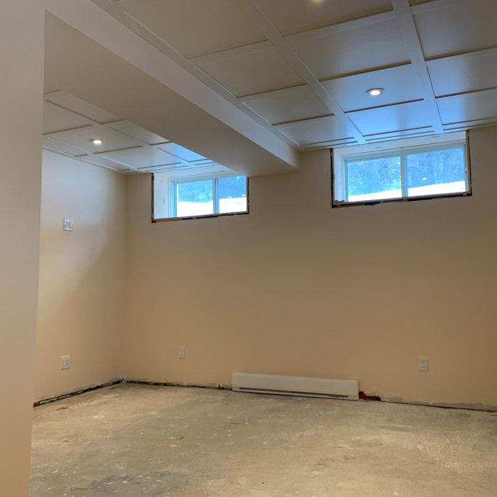 Inspiration for a basement remodel in Other