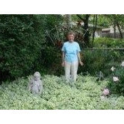 Jean Tawney's photo