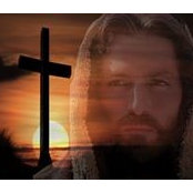 Vera Wood's photo