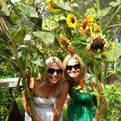 Sara Barbour's photo