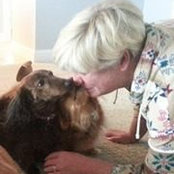Cheryl Petersen's photo