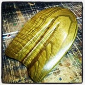Foto de Brown Fish
