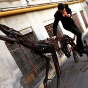 Vladimir Ozhereliev's photo