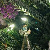 Jessica Graning's photo
