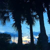 Reina Rivera's photo