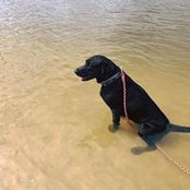 Jackie Stein's photo
