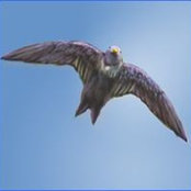Cloud Swift's photo