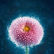 Photo de Milena Delcheva