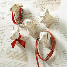 carol_wright3691's ideas
