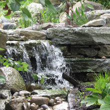 Landscape Ideas