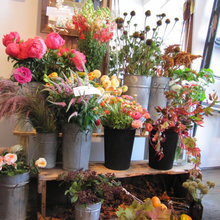 Floral Arrangements