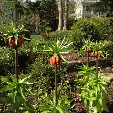 spring flowers