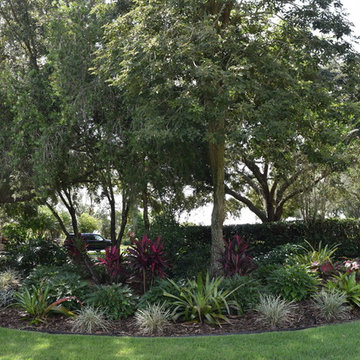 Nancy's Pomegranate Manor