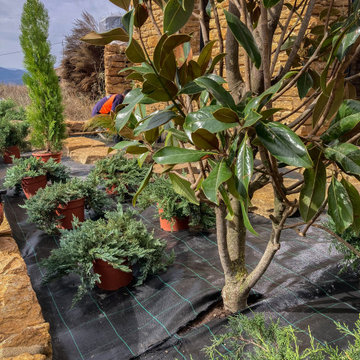 PATIO ESTUDIO DE ARQUITECTURA (Culla)