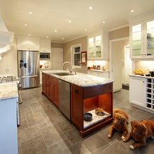 Pet designs