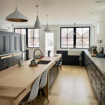 Denver Long House - Alpen Zenith Windows