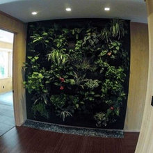 Mur de plantes