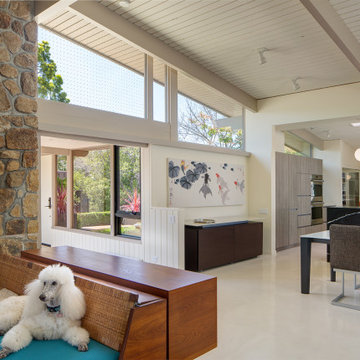 Belladera: Mid-Century Redux