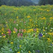 Regina Higgins's photo