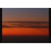 Michael Zonta's photo
