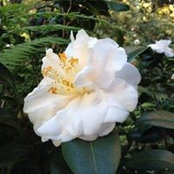 Deb Darrock's photo