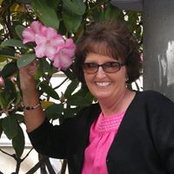 Darla Wilson's photo