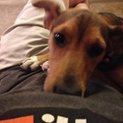 Kevin Rodriguez's photo