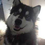 Heather Bevan's photo