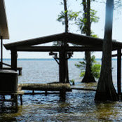 Jan Edelman's photo