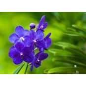 Mar Mariscal's photo