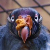 Foto von Cathel Pichereau