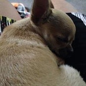 Kathy Ralston's photo