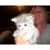 Cheri Sloan Scheers billede