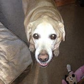 Amy Rhoads's photo
