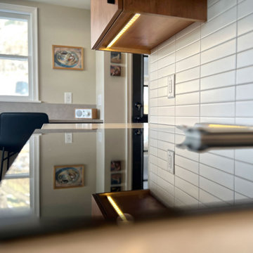 Project 3967-1 St. Paul Mid-Century Modern Kitchen