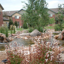 ponds and water gardens